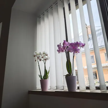 Storczyk Apartment *
